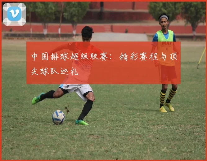中国排球超级联赛:精彩赛程与顶尖球队巡礼